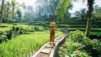 Venedikten sonra Bali: Turistlerden adaya giriş ücreti alınacak