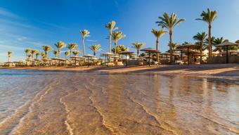 BAE-Mısır imzayı attı: 150 milyar dolara ‘yeni nesil şehir’