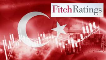 İngiliz ekonomistten Fitch yorumu: Türkiye hak etti