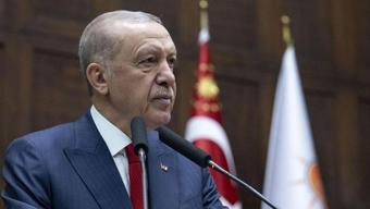 Erdoğan talimatı verdi: Sahipsiz sokak hayvanları düzenlemesinde yeni gelişme