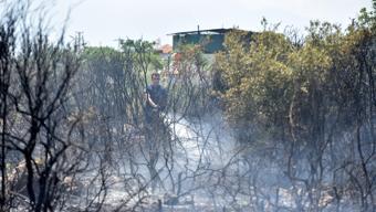 Makilik alandan nar bahçesine sıçrayan yangın büyümeden söndürüldü