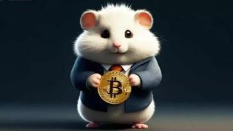 Hamster Kombat oynayanlara kötü haber Hile yapanlar cezalandırıldı Hamster Kombat girilmiyor, hile sorunu