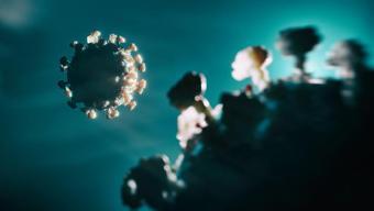 CIA açıkladı Yeni Covid-19 raporu: Kaynağına dair laboratuvar detayı…