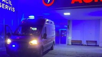 Bir başıboş köpek saldırısı daha 9 yaşındaki çocuk dehşeti yaşadı