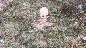 Arnavutköyde insana ait kafatası bulundu