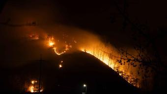 Güney Kore’deki orman yangınları kontrol altına alındı
