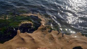 Kabus geri mi döndü Yalova kıyılarında korkutan görüntü