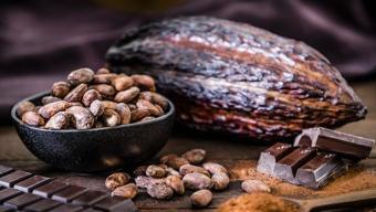 Bilim İnsanları Açıkladı: İşte Mükemmel Çikolatanın Formülü... Tat ve Aromayı Doğrudan Etkiliyor