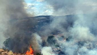 Kocaelide ot yangını paniği Alevler barakalara sıçradı