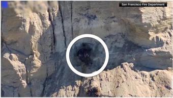 Film gibi anlar Mahsur kalan köpek böyle kurtarıldı