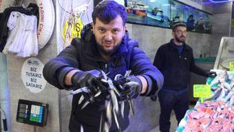 Balık tezgahları hamsi ile doldu
