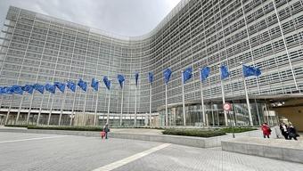 AB Dışişleri Bakanları Ukrayna ve Orta Doğuyu görüştü