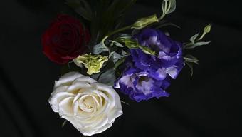 Türkiyeden yılbaşı için 12 milyon dolarlık çiçek ihracatı