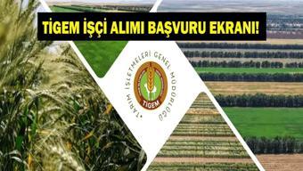 TİGEM İŞÇİ ALIMI 2025-2026: TİGEM 254 Personel Alımı İŞKUR Başvuru Tarihleri ve Şartlar Neler Başvurular Başlıyor