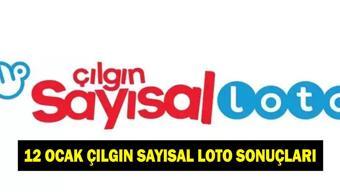 ÇILGIN SAYISAL LOTO SONUÇ SORGULAMA EKRANI Çılgın Sayısal Loto sonuçları nasıl öğrenilir MPİ sonuç sorgulama linki