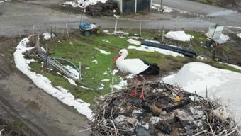 Köyün simgesi haline geldi Yaz kış yıllardır aynı noktada