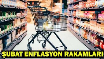 ŞUBAT ENFLASYON RAKAMLARI SON DAKİKA