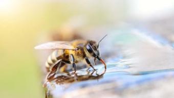 Bilim İnsanlarını Şaşırtan Keşif