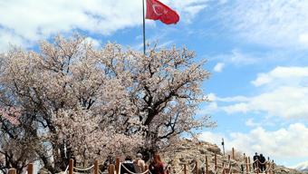 Ziyaretçi akınına uğruyor: Burası adeta cennetten bir bahçe