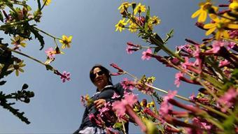 Meteoroloji duyurdu: Soğuk hava yerini bahara bırakıyor