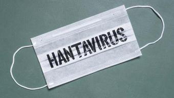 Türkiye’de Hantavirüs Vakaları 2009’dan Beri Görülüyor Hantavirüste Pandemi Riski Var mı Belirtileri 1-8 Haftada Ortaya Çıkıyor