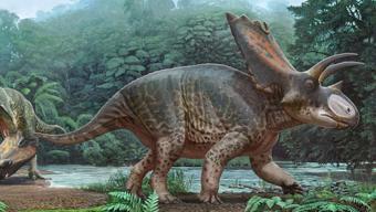 Tayland’da yeni dinozor türü keşfedildi: 27 tonluk dev fosil bulundu