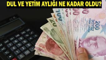 TEMMUZ 2026 DUL VE YETİM AYLIKLARI ZAMLI TUTAR: Dul ve Yetim Maaşı Ne Kadar Oldu Temmuz 2026 Zamlı Aylıklar Belli Oldu mu
