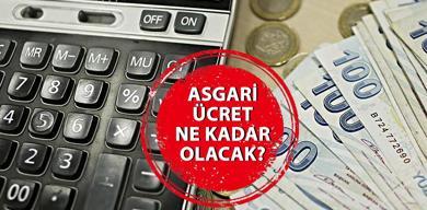 asgari-ucret-2025-ne-kadar-kac-tl-olacak-son-dakika-asgari-ucret-zammi-haberleri…

