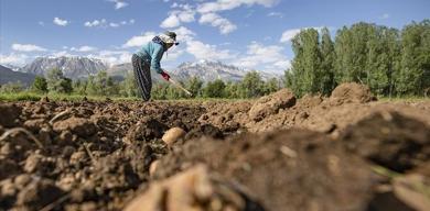 tarim-ve-orman-bakanligindan-ciftcilere-454-milyar-liralik-destek-odemesi