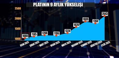 platine-yatiran-parasini-ikiye-katladi