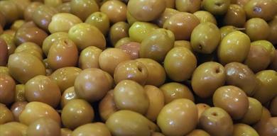 turkiye-sofralik-zeytin-ihracatinda-zirveye-cikti