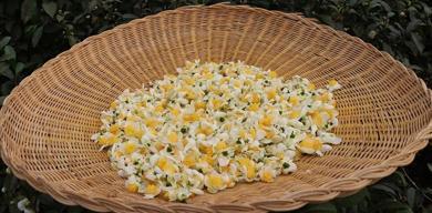 caymerin-cicek-cayi-uretimi-3-yilda-iki-katindan-fazla-artti