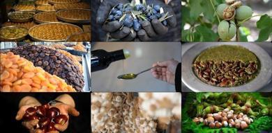 abde-tescilli-turk-urunleri-42ye-ulasti