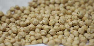 nohut-ithalatinda-gozetim-uygulamasi-kaldirildi