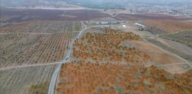 yozgatta-5-bin-donumluk-meyve-bahcesi-800-kisiye-is-kapisi-oldu