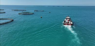 turkiye-balikcilikta-tarihi-rekor-kirdi