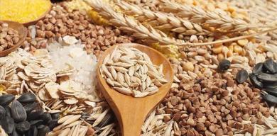 trakyadan-2025te-225-milyar-dolarlik-ihracat-tekirdag-zirvede