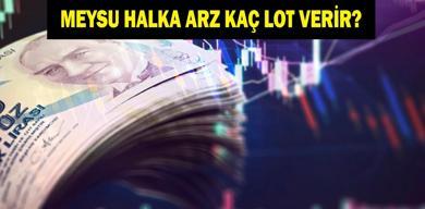 meysu-halka-arz-kac-lot-verir-meysu-halka-arz-tarihleri-ne-katilim-endeksine-uygun-mu-meysu-halka-arz-hangi-bankalarda-var