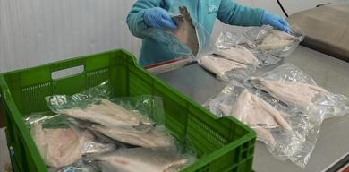 su-urunleri-ve-hayvansal-mamuller-ihracati-2025te-4-milyar-dolari-asti