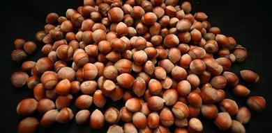 turkiyeden-findik-ihracatinda-rekor-gelir