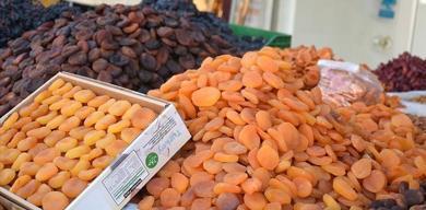 malatyadan-335-milyon-dolarlik-ihracat-kuru-kayisi-liderligini-koruyor