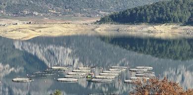 16-isletme-4500-ton-kapasite-karacaorende-balikcilikta-rekor-yil