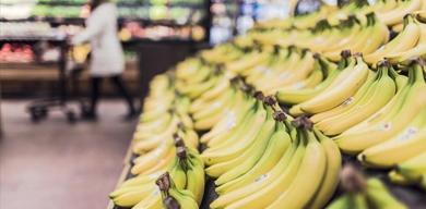 ocakta-guven-endeksleri-ayristi-hizmet-ve-insaat-yukseldi-perakende-geriledi