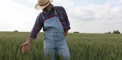 abdden-turkiyeye-ayni-sorun-depodaki-pirinc-yuk-oldu-ciftci-cikis-ariyor