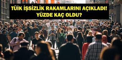 issizlik-oranlari-aralik-2025-tuik-2025-aralik-ayi-issizlik-orani-ne-oldu-issizlik-seviyesi-yuzde-kac-oldu