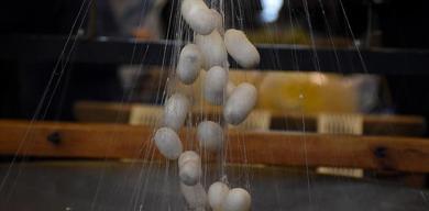 kozabirlik-hedef-buyuttu-2028de-250-ton-yas-koza-uretimi