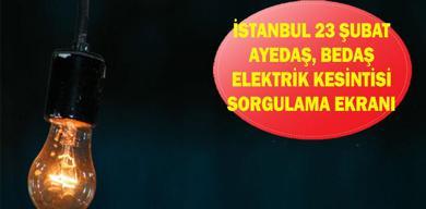 istanbul-elektrik-kesintisi-23-subat-ayedas-bedas-elektrik-kesintisi-sorgulama-ekrani