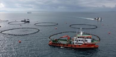 karadenizden-su-urunleri-ihracati-ocakta-yuzde-46-artti