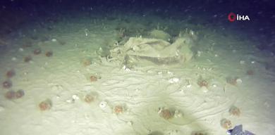 marmara-denizindeki-51-yillik-sir-dusen-thy-ucagina-ait-yeni-goruntuler-cikti