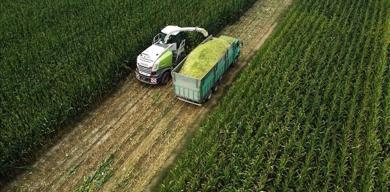 tuik-tarim-uretici-fiyatlari-subatta-artti